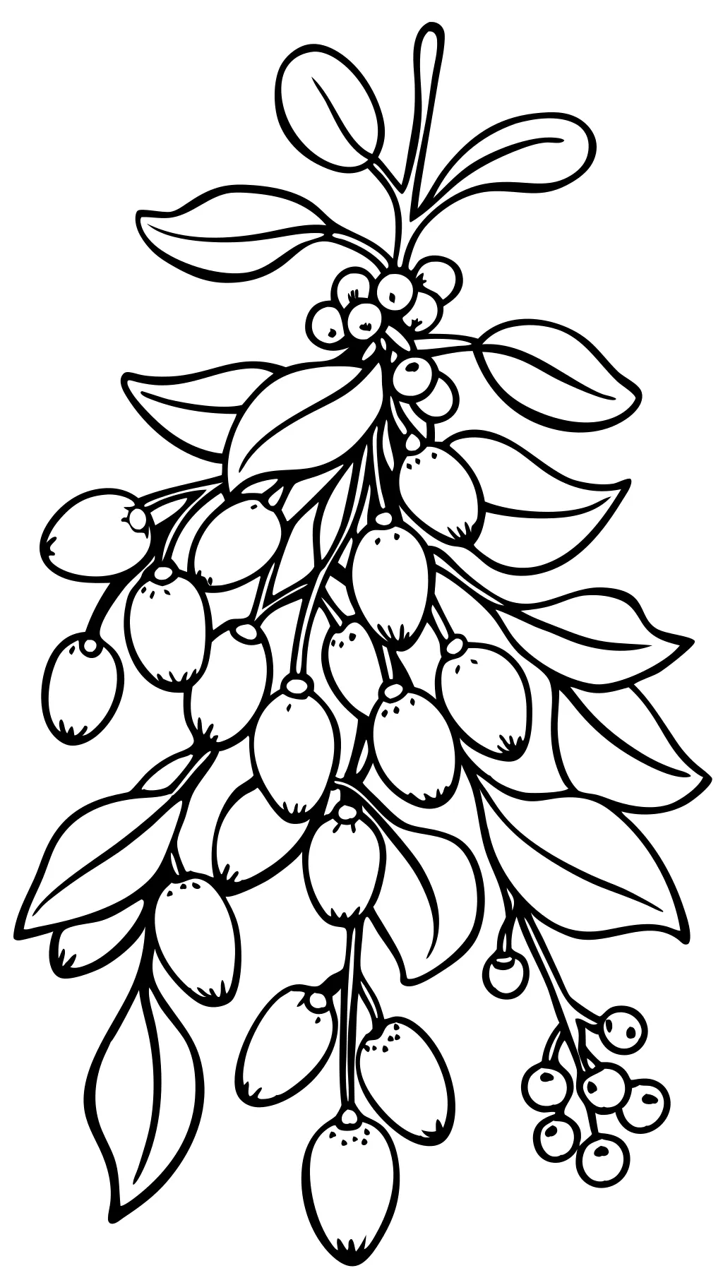 mistletoe coloring page